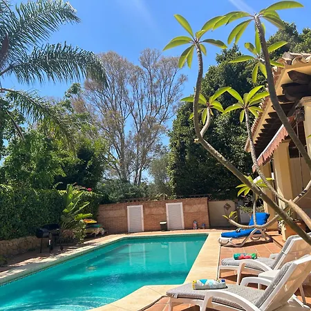 Close To The In Marbella