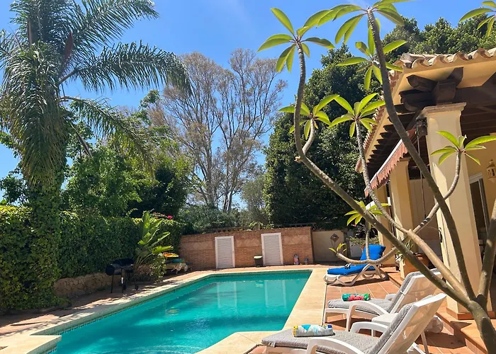 Close To The In Marbella